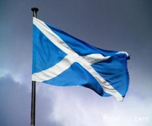 Puzzle Σημαία της Σκωτίας, της χώρας του Ηνωμένου Βασιλείου